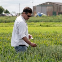 Rodrigo Echegoyen Email