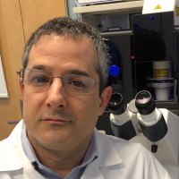 Alexander Adler Email & Phone Number