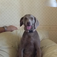 Dixie State University Employee Shanna Alger's profile photo