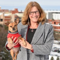 Washington State University College of Veterinary Medicine Employee Dori Borjesson's profile photo