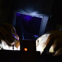 Entech Fabrications Employee Ryan Bogus's profile photo