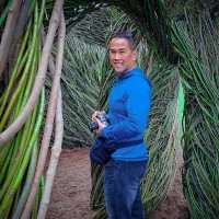 Thong Nguyen Email & Phone Number