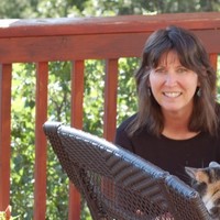 Hewlett-Packard Employee Patty Keller's profile photo