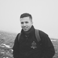 Tree Musketeers Employee Joe Hook's profile photo