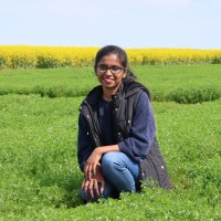 Agriculture Victoria Employee Dharushana's profile photo