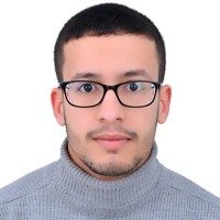 Youssef Hamid Email