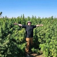 Eric Almazan's profile photo