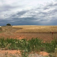 T.D. Williamson Employee Rusty Johnston's profile photo