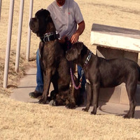 Kodiak Gas Services, LLC Employee Jason Post's profile photo