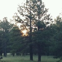 Discount Tire Employee Brian Atkins's profile photo