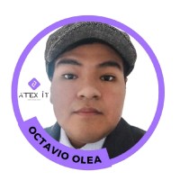 Octavio Pérez Email & Phone Number
