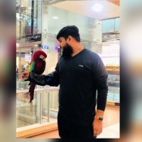 Login Smart Technology Employee Ahmed Junaid's profile photo