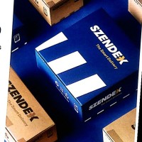 SZENDEX The Smart Delivery Employee Blanca Guinovart Garcia's profile photo