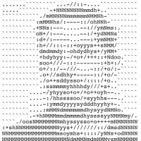 Steve Berry Email & Phone Number