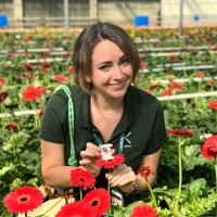 Avery Brickles Email & Phone Number