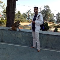Prashant Kandregula Email & Phone Number