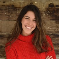 Adi Knobel Email