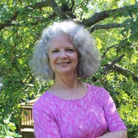 Synergy Forces Employee Dawn Rhine's profile photo