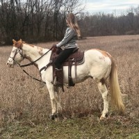 Janette Bunting Email & Phone Number