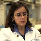 Ana Angulo Email & Phone Number