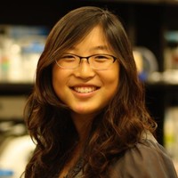 Frances Ding Email & Phone Number