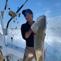 Roy Daikawa Email & Phone Number