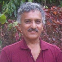 MaxPlus Consulting Employee Acharya V's profile photo