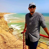 Instrumentel ltd Employee Hammad Khalid's profile photo