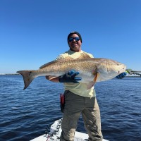 Laser Light Communications Employee Steve Birrell's profile photo