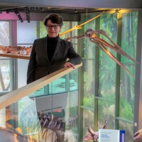 Witte Museum Employee Marise McDermott's profile photo
