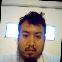 K Harvey Brand Partners Employee Einstein Albert's profile photo