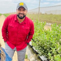 COMPO EXPERT Perú Employee Ronald Leon Fernandez's profile photo