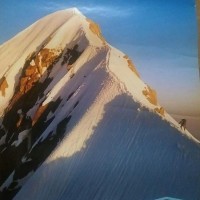 NETSTAL Employee Harald Schweighofer's profile photo