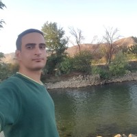 Planted, Inc. Employee Mehran Nasiri's profile photo