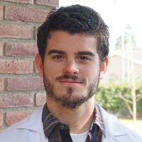Helmholtz Pioneer Campus Employee Albert Perlas Puente's profile photo