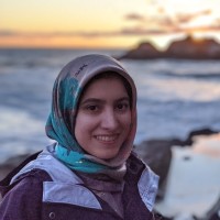 Bright Fox AI Employee Zeinab Gaeini's profile photo