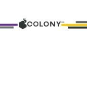 COLONYLive Employee Robbie Rotteglia's profile photo