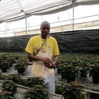 Selecta one Employee Kennedy Okumu's profile photo