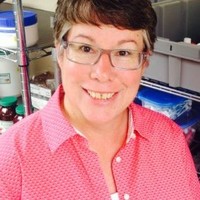 Sand Run Pharmacy Employee Meg Lamb's profile photo