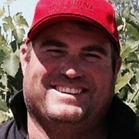 Kingston Estate Wines Employee Chris Nye's profile photo