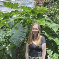 Avenues of Counseling and Mediation, LLC Employee Alexandria Wick's profile photo