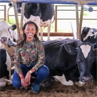 ProDairy (East Africa) Ltd Employee Peris Chege's profile photo