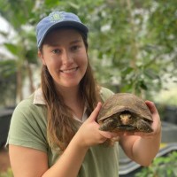 Turtle Survival Alliance Employee Elena Duran's profile photo
