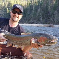 Travis Fields Email & Phone Number