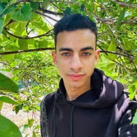 Smart Pack Employee Anas Tamer's profile photo