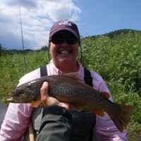 Tammy Merriman
