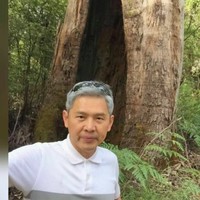 - Employee Melvin Teo's profile photo