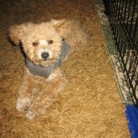 Lee Schuster Email & Phone Number