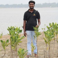 Grow-Trees.com Employee Manimannan A's profile photo