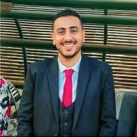 Fady Rafik Email